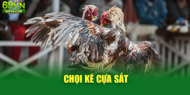 Giới thiệu sân chơi đá gà cửa sắt tại 69VN