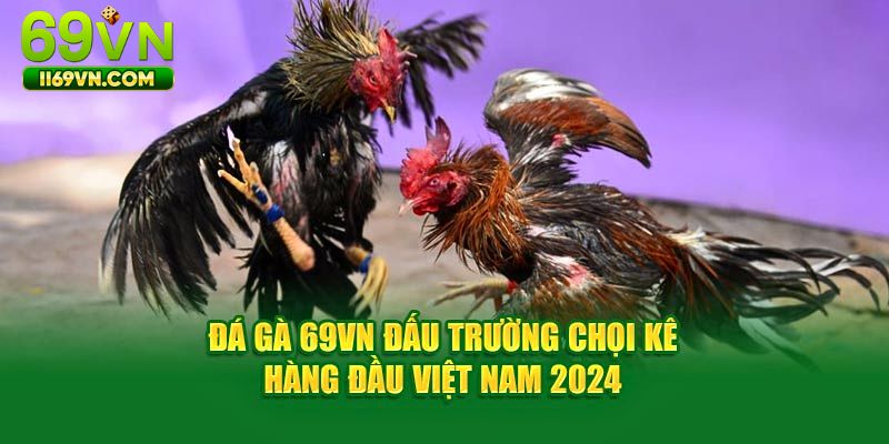 Các hình thức chọi gà hấp dẫn tại Đá gà 69VN